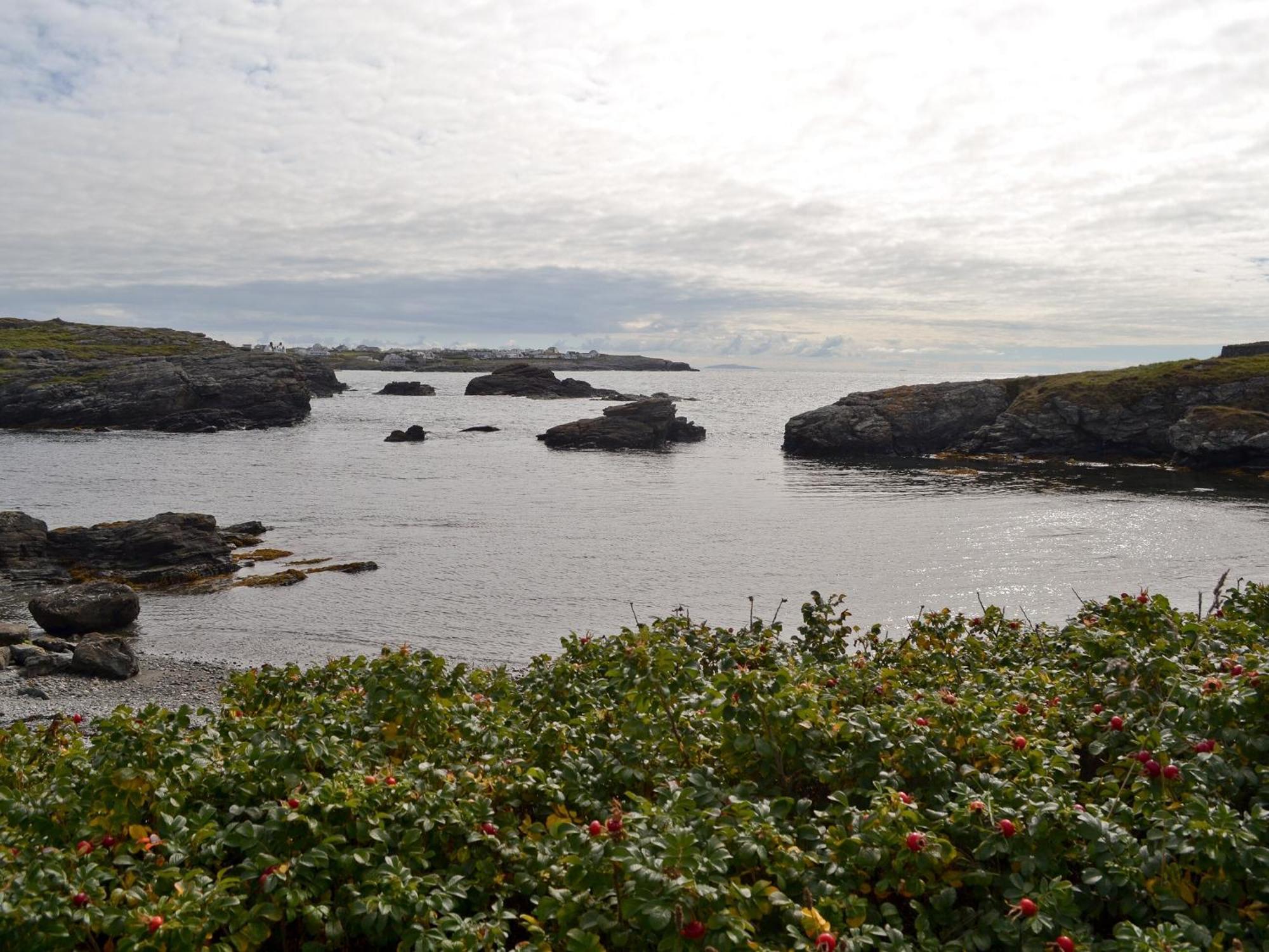 Gwelfor * Trearddur